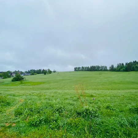 Apartment Harztraum-17 *