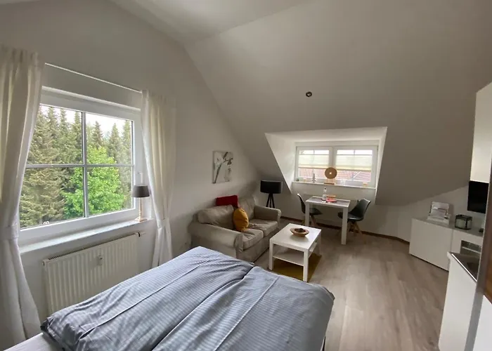 Апартаменты Harztraum-17 *