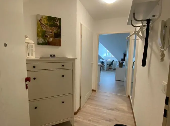 Harztraum-17 * Браунлаге