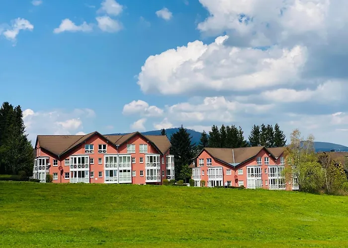 Harztraum-17 Браунлаге