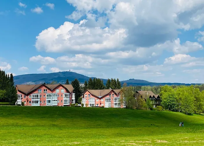 Harztraum-17 * Браунлаге